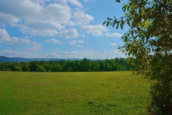 Schöne Landschaft Natur Feld Wald Und Berge — Stockfoto