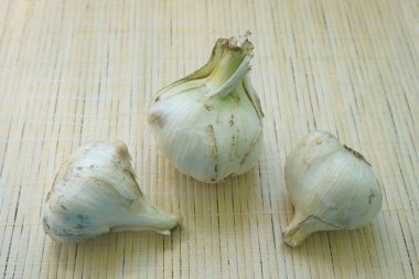 masada sarımsak, çirkin sarımsak, sağlıklı sebze