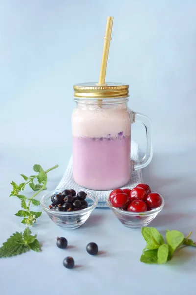 Bär och mjölk smoothies, blå, rosa, lila, korall Royaltyfria Stockfoton