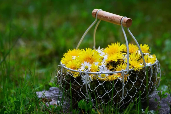 Sepetteki güzel taze çiçekler