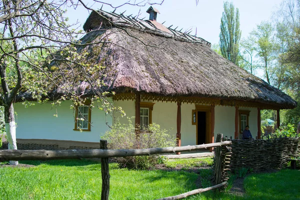 Ukrayna köyü. Bir sazdan çatı altında ev. Bir sürü yeşillik ve çitlerle çevrili geleneksel bir Ukrayna kulübesi..