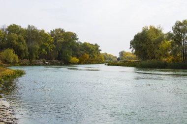 Orman, sakin nehir sonbahar ormanının arka planında. Ufkun ötesine uzanan nehir. Yaprak döken bir ormanda sonbahar.