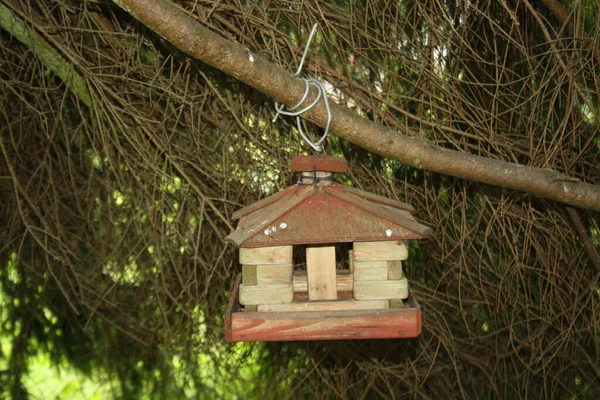 Cute House Bird Feeder Close — Stock Photo, Image