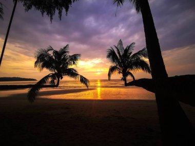 Issız bir sahilde, iki yatay hindistan cevizi ağacı arasında muhteşem bir gün batımı, Koh Kood..