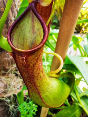Atıcının ağzı kameraya dönük bir sonraki kurbanını bekliyor.