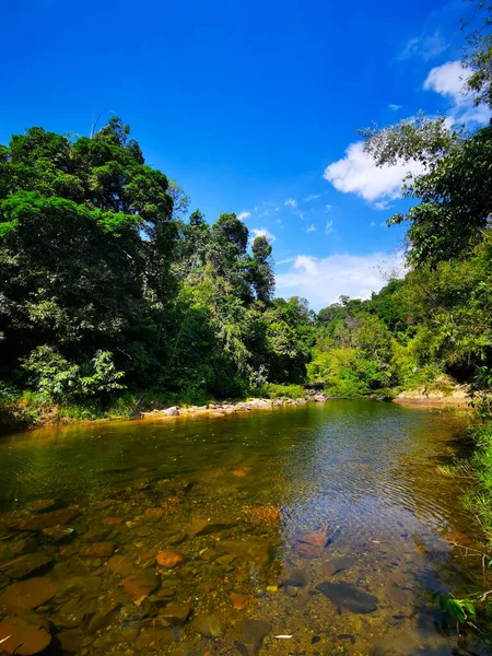 Bellissimo Fiume Calmo Con Foreste Sulle Rive Cielo Blu Brillante — Foto Stock