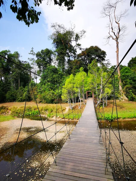 View Foot Bridge Forest Background Khao Yai Thailand — Stock Photo, Image