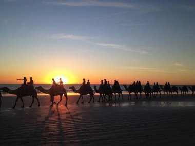 Cable Plajı 'nda turistlerden oluşan bir deve treni ile göz kamaştırıcı bir gün batımı.