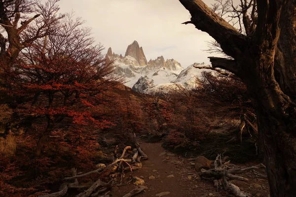 Arka Planda Fitz Roy Mastif Dağı Nın Olduğu Renkli Sonbahar — Stok fotoğraf