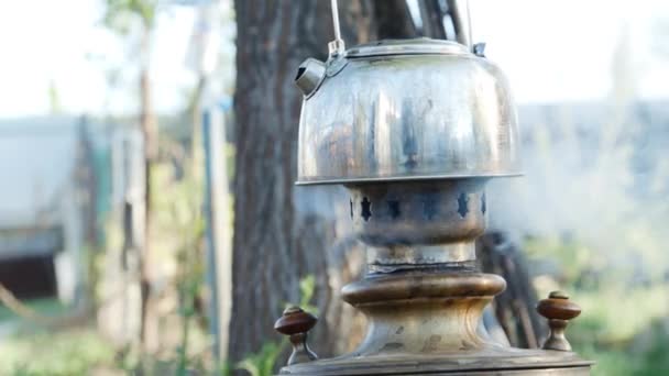 Proceso de hacer té en el samovar . — Vídeo de stock