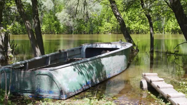 Oude vissersboot — Stockvideo