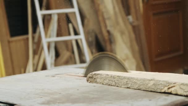 Senior man sawing wood on the machine with a circular saw — Stock Video