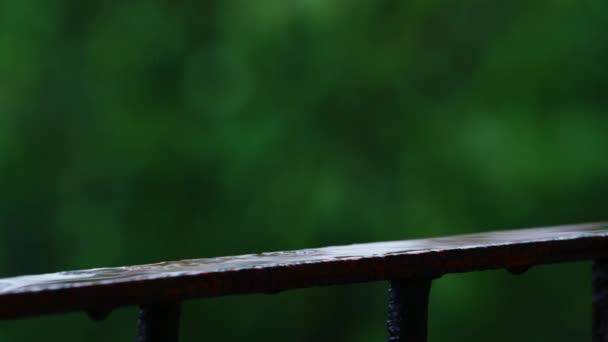 Las gotas de lluvia caen y se rompen maravillosamente en cámara lenta — Vídeos de Stock