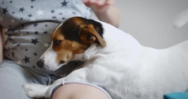 Mujer embarazada con su perro — Vídeo de stock