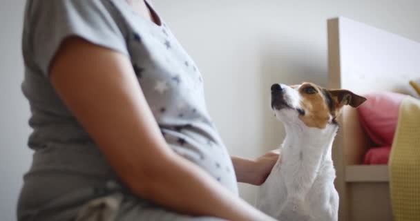 Onun köpeği ile hamile kadın — Stok video