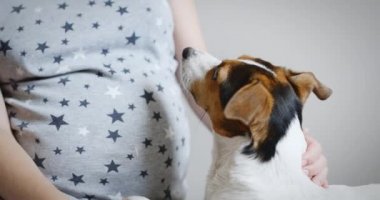 onun köpeği ile hamile kadın