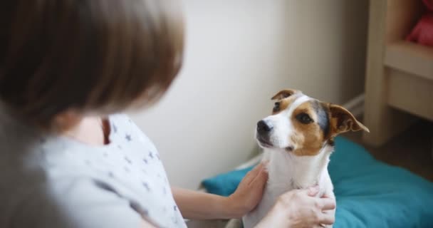 Gravid kvinna med hennes hund — Stockvideo