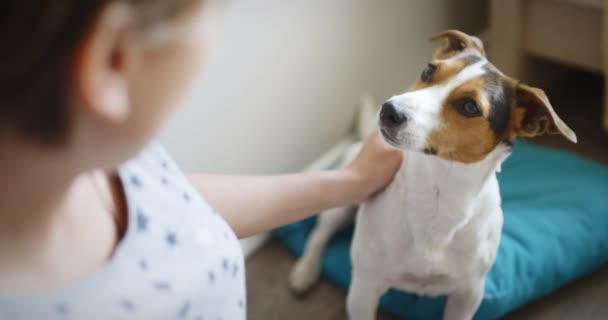 孕妇和她的狗 — 图库视频影像