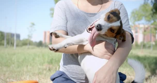 Wanita dengan anjingnya di rumput — Stok Video