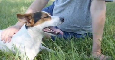 Kadınla çimenlerin üzerinde onun köpeği