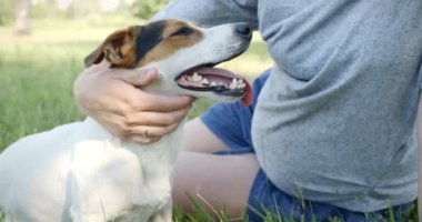 Kadınla çimenlerin üzerinde onun köpeği