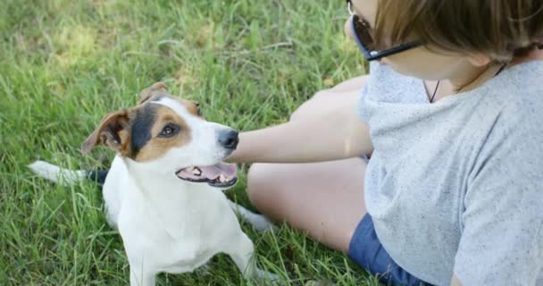 Mujer con su perro en la hierba — Vídeos de Stock