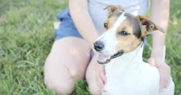 Женщина со своей собакой на траве — стоковое видео