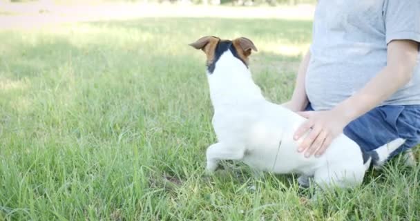 Mujer con su perro en la hierba — Vídeos de Stock