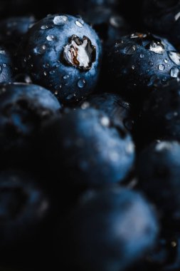 Su damlaları ile taze yaban mersini