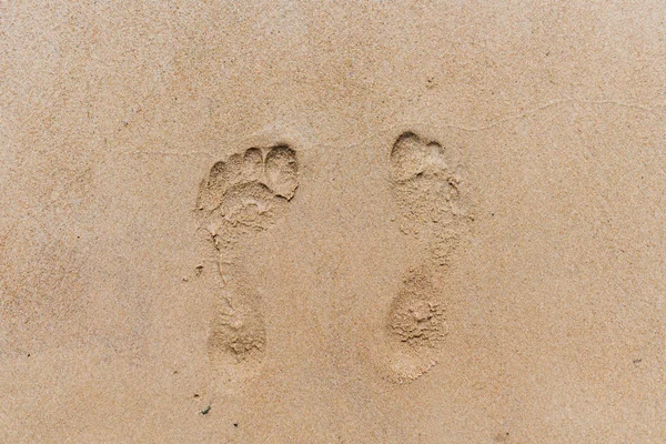 Kumdaki. Sandy beach gün güneşli yaz.