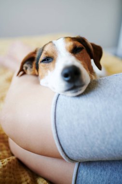 Köpek kadın ayak kafasına yatıyor