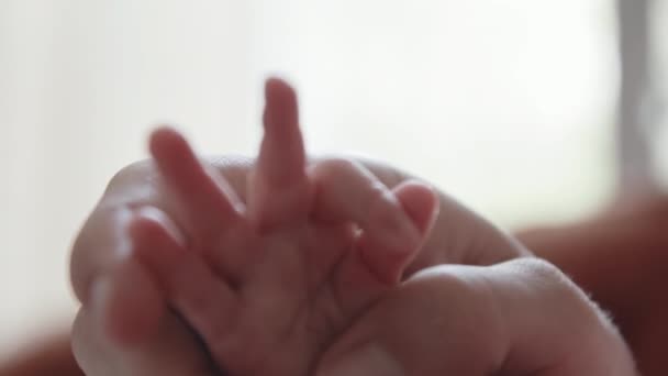 Mère tient ses mains de bébé — Video