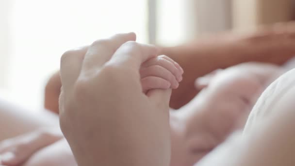 Moeder haar baby handen te houden — Stockvideo