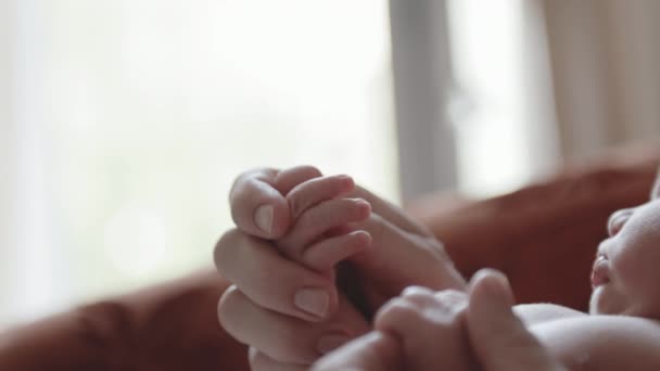 Madre tenere le mani del bambino — Video Stock