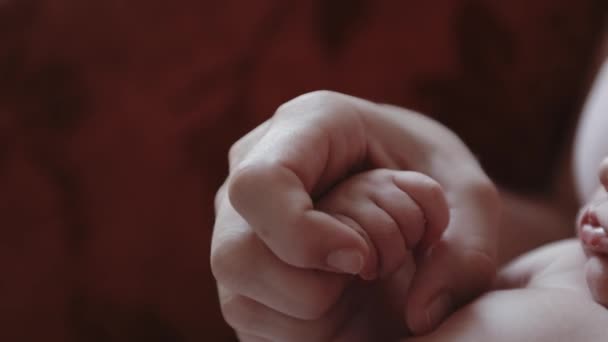 Madre tenere le mani del bambino — Video Stock