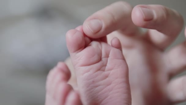 Mother hold her baby foots — Stock Video