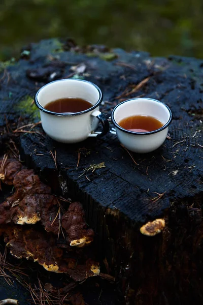 2 つの古い切り株に熱いお茶のカップをホワイトします。 — ストック写真