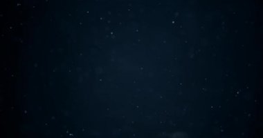 Organik toz parçacıklarının havada