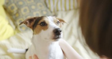 Kadın köpeğini bir yatakta sevişme