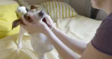 Bir yatakta onu köpek ile kadın oyun