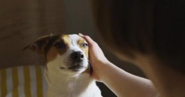 Kadın köpeğini bir yatakta sevişme