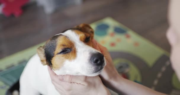 Vrouw lijnen haar hond zachtjes op het hoofd — Stockvideo