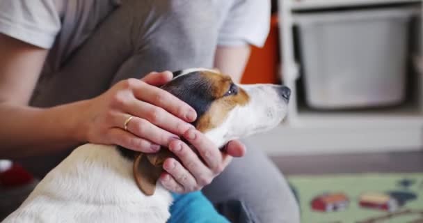 Mujer suavemente acaricia a su perro en la cabeza — Vídeo de stock