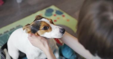 Kadın yavaşça onun köpeği kafasına vuruş.