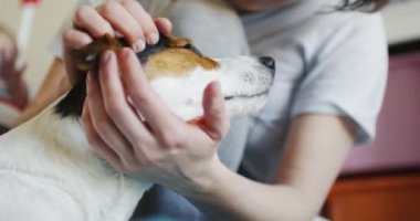Kadın yavaşça onun köpeği kafasına vuruş.