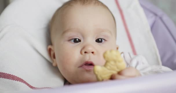 Pequeño bebé come galletas — Vídeo de stock