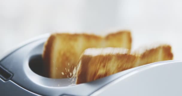 Geröstetes Toastbrot aus Toaster aufgetaucht — Stockvideo