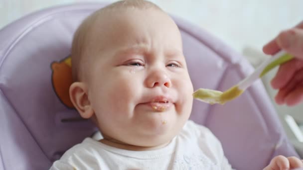 Mamá alimenta a su pequeño bebé de 8 meses con una cuchara — Vídeo de stock