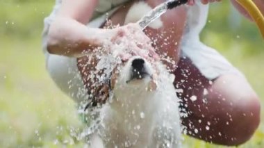 Kadın bahçede köpek yıkama.