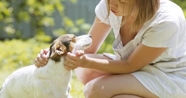 Ung kvinna petting hunden — Stockvideo